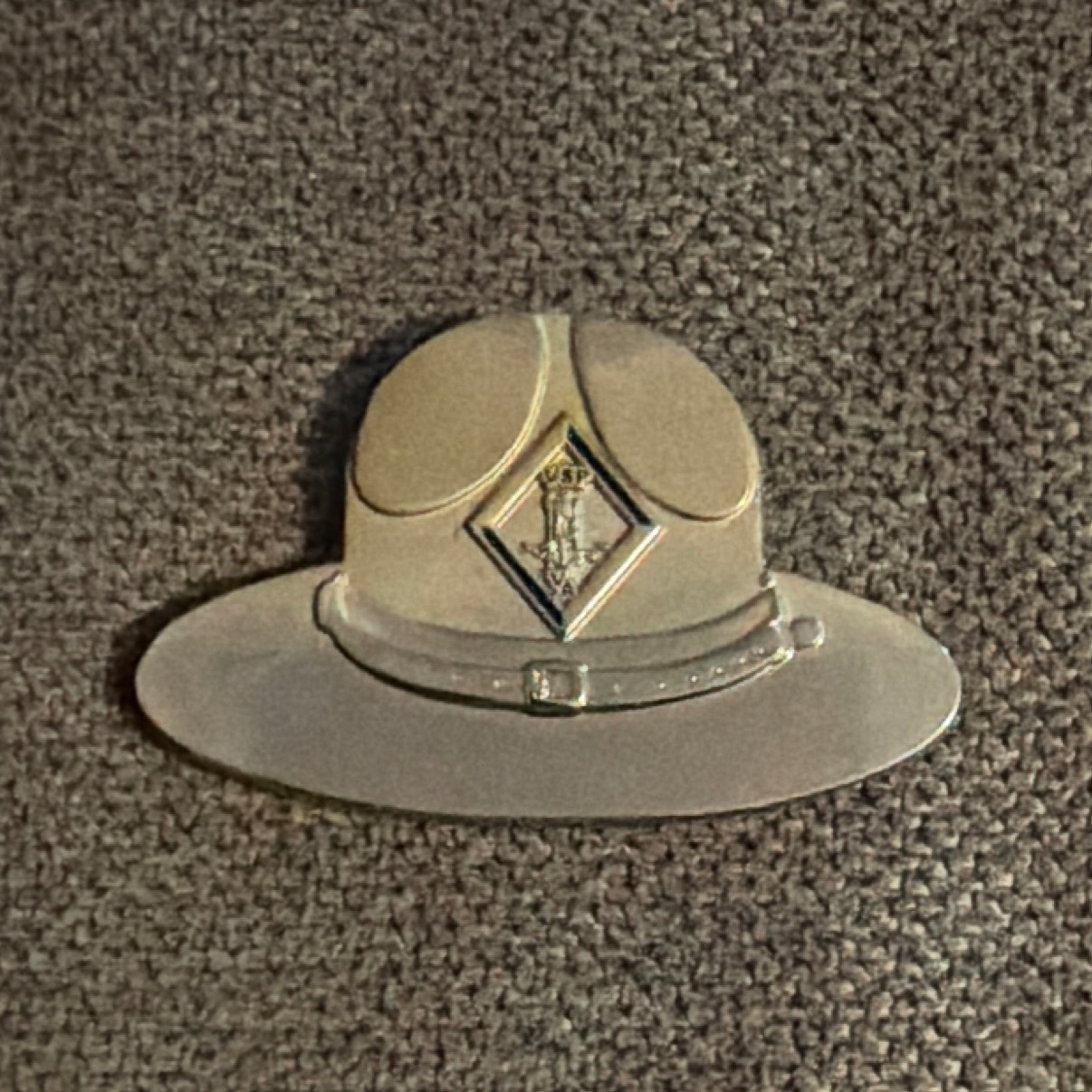 Campaign hat VSPA — back